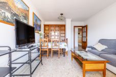 Apartamento en Torre del Mar - A&N Spacious Terrace Family Apartment Downtown – T
